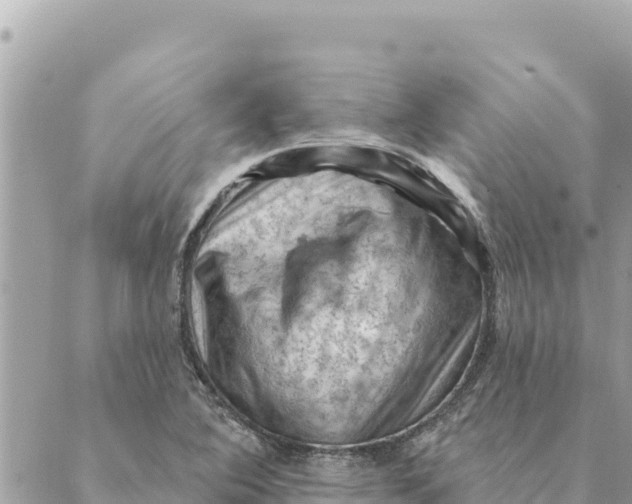 X0000088831364200706281745