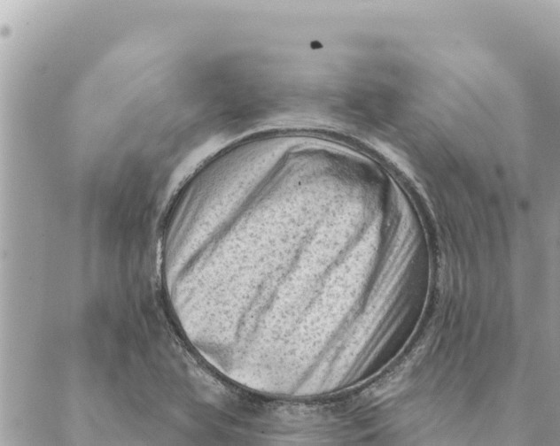 X0000088831366200706281745