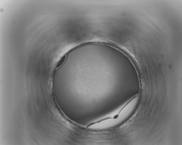 X0000088831367200706281745