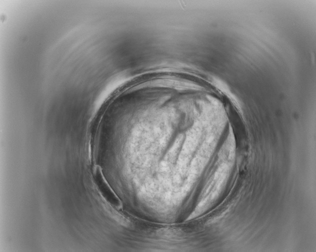 X0000088831368200706281745