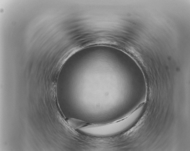 X0000088831369200706281745