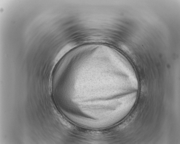 X0000088831370200706281745