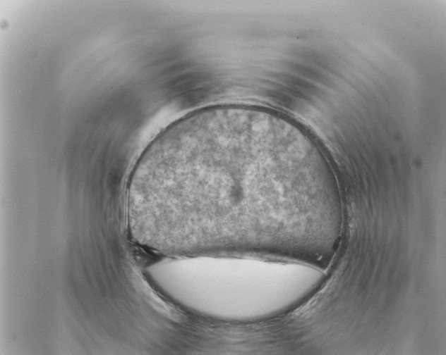 X0000088831371200706281745