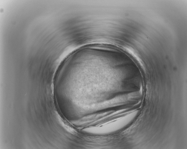 X0000088831372200706281745