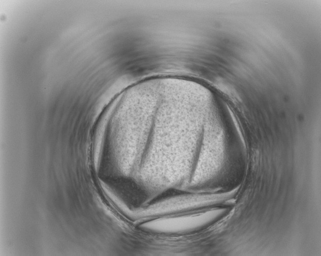 X0000088831374200706281745