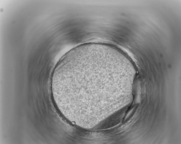 X0000088831375200706281745