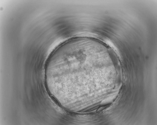 X0000088831376200706281745