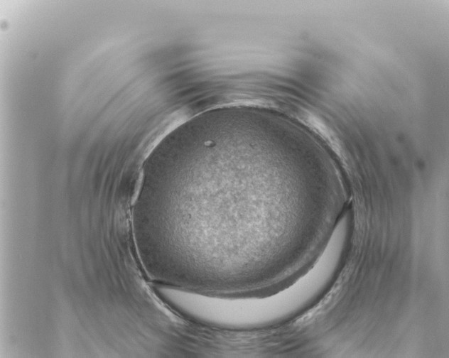 X0000088831377200706281745