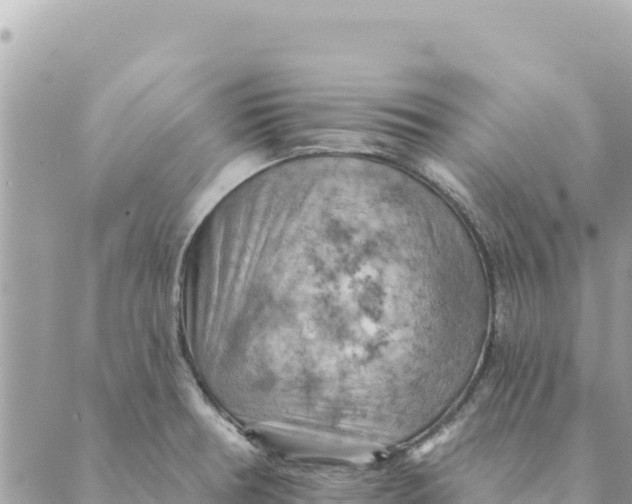 X0000088831378200706281745