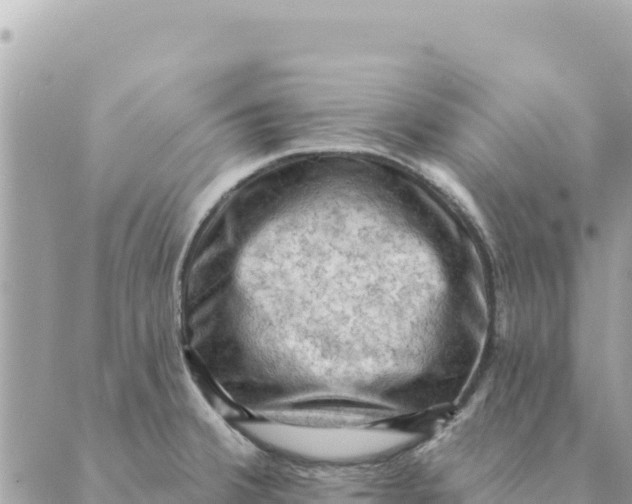 X0000088831380200706281745