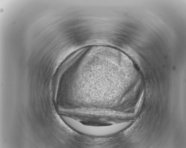 X0000088831382200706281745