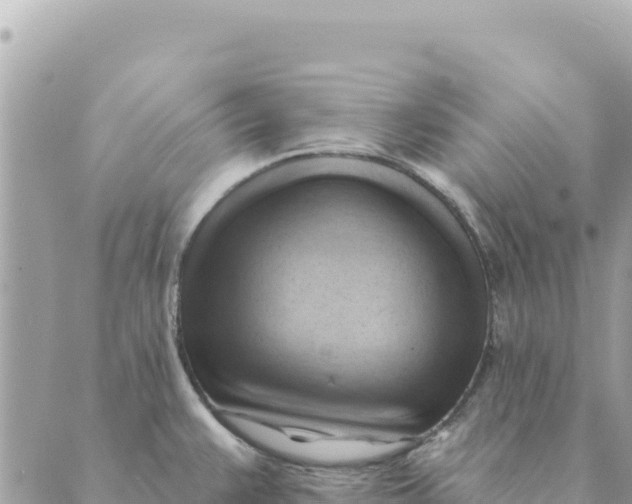 X0000088831383200706281745