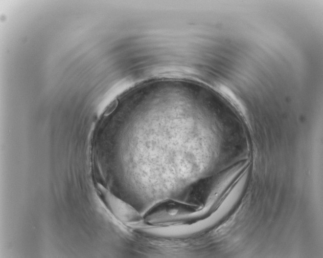 X0000088831384200706281745