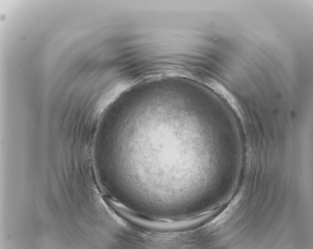 X0000088831385200706281745