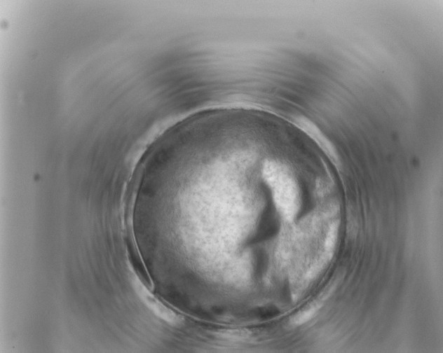 X0000088831388200706281745