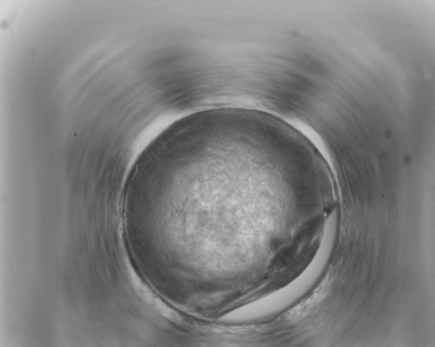 X0000088831389200706281745