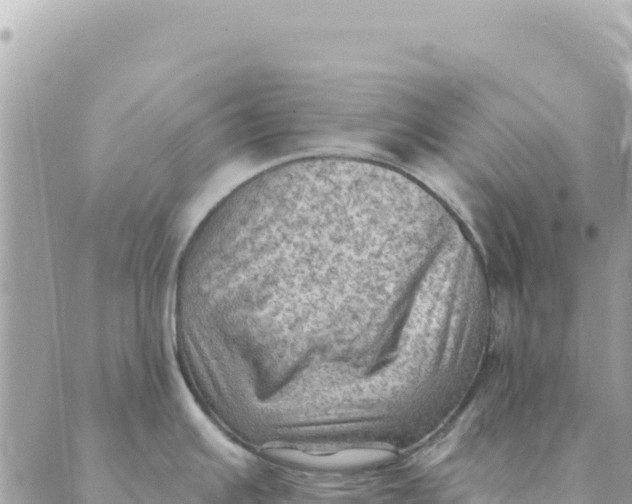 X0000088831391200706281745