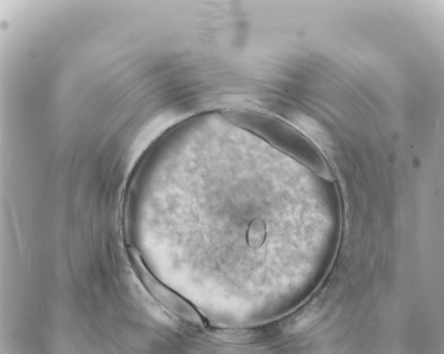 X0000088831392200706281745