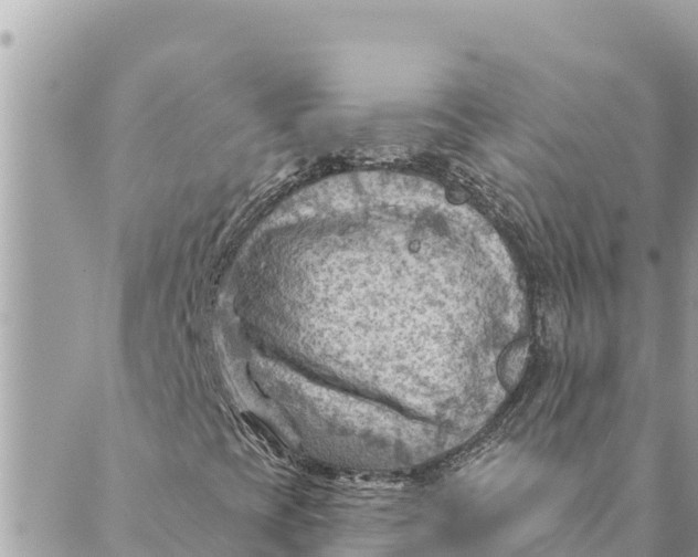 X0000088831393200706281744