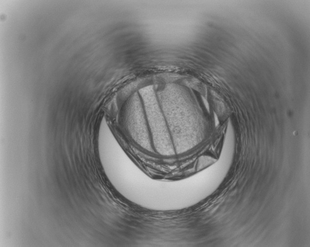 X0000088831394200706281744