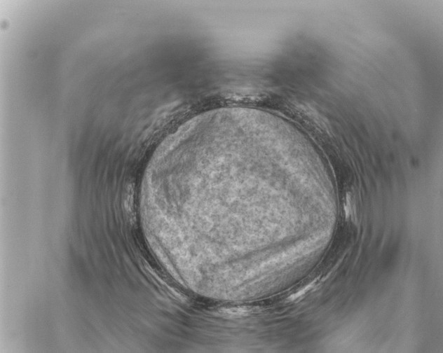 X0000088831396200706281744