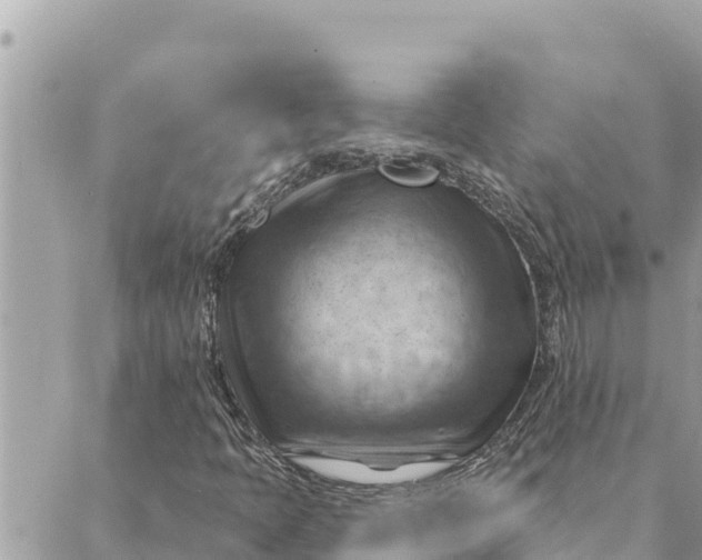 X0000088831397200706281744