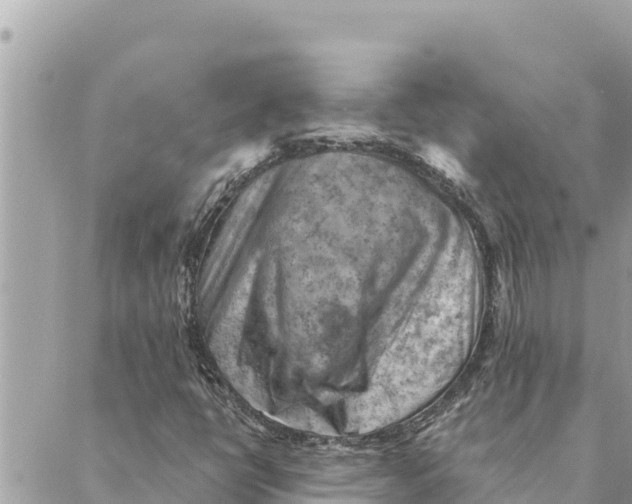 X0000088831398200706281744