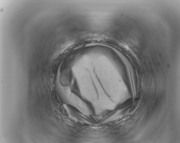 X0000088831399200706281744