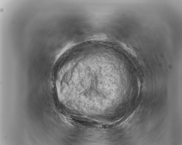 X0000088831400200706281744