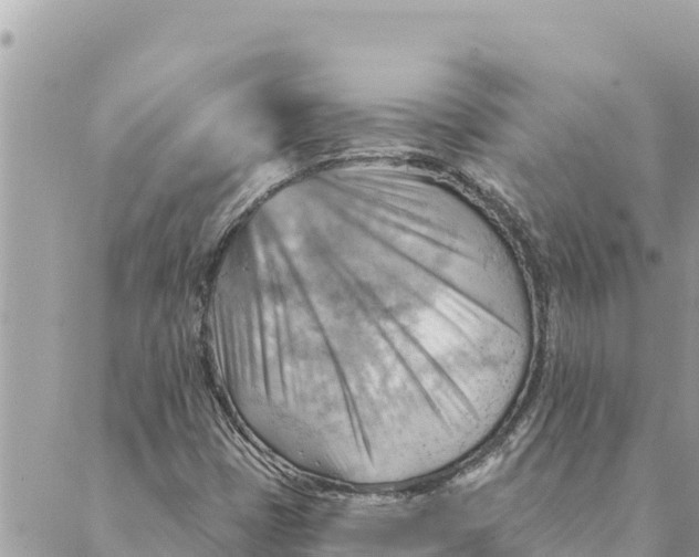 X0000088831401200706281744