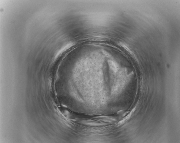 X0000088831402200706281744