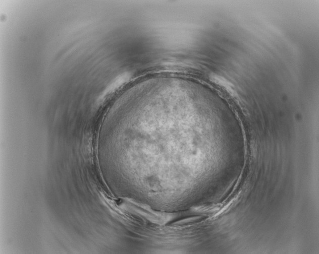 X0000088831403200706281744