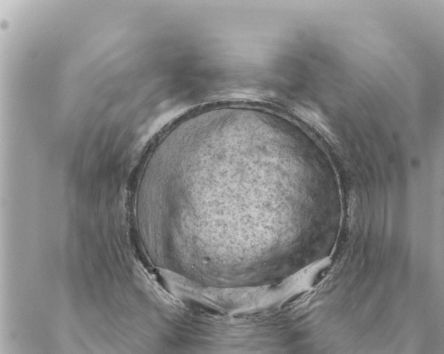 X0000088831404200706281744