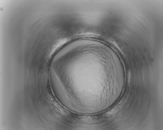 X0000088831405200706281744