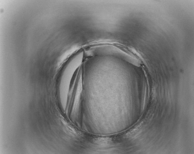 X0000088831406200706281744