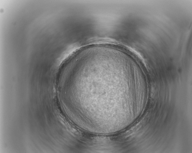 X0000088831407200706281744