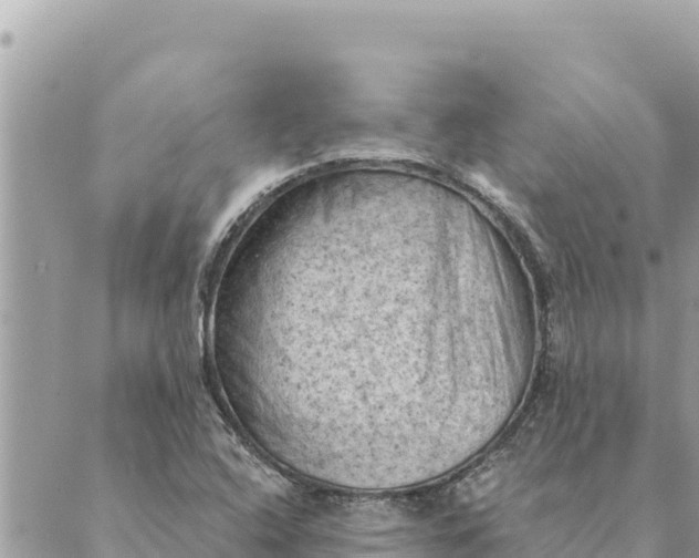 X0000088831408200706281744