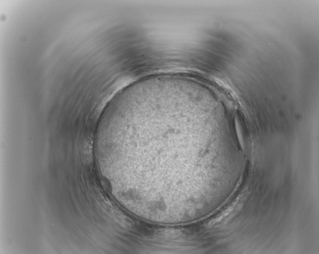 X0000088831409200706281744