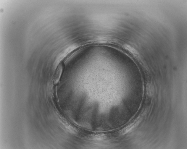 X0000088831410200706281744