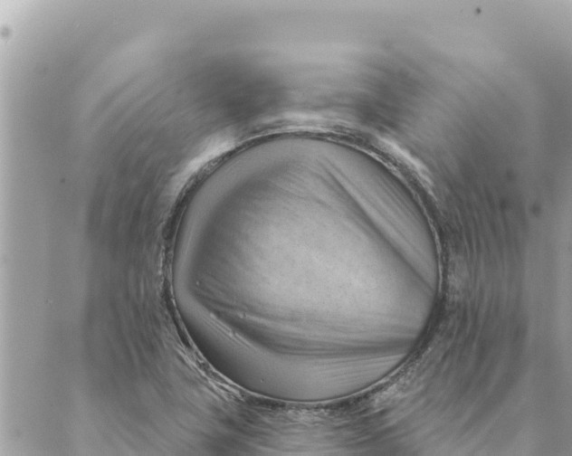 X0000088831411200706281744