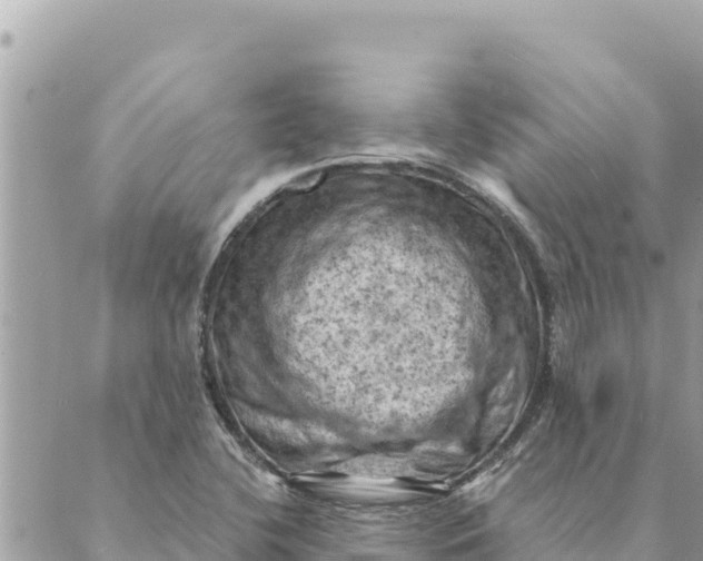 X0000088831412200706281744