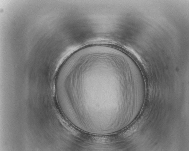 X0000088831413200706281744