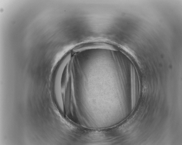 X0000088831414200706281744