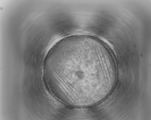 X0000088831415200706281744