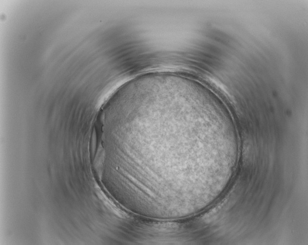 X0000088831417200706281744