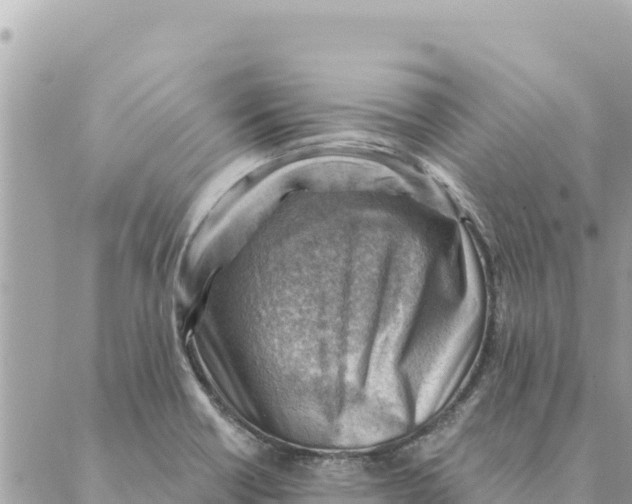 X0000088831418200706281744