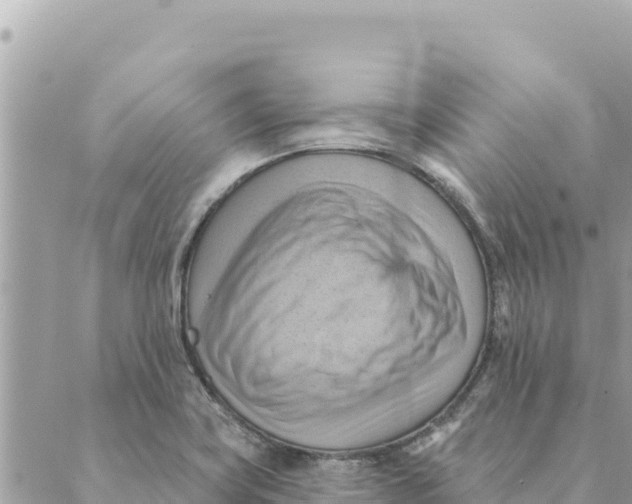 X0000088831419200706281744