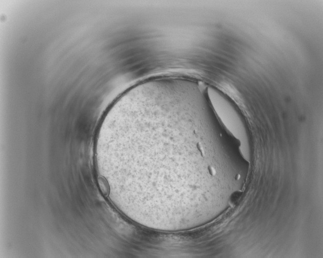 X0000088831420200706281744