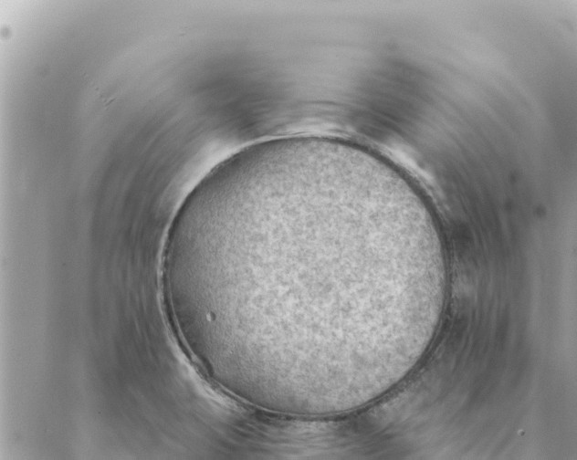 X0000088831423200706281744