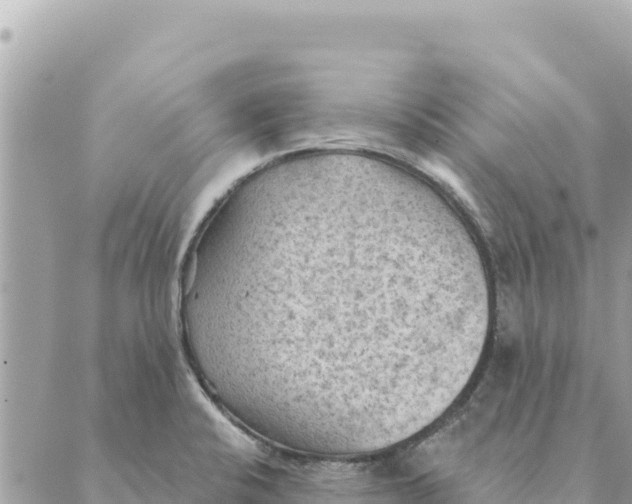 X0000088831424200706281744